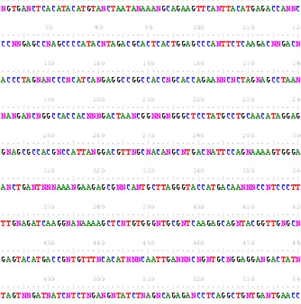 Free sample of Stanza DNA code.