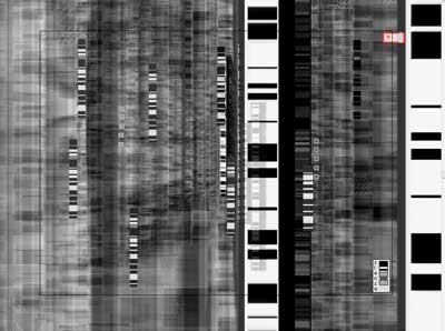 Screen shot from DNA Stanza self portrait interactive 2003. (Prints available)