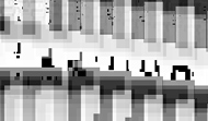 ctagtca