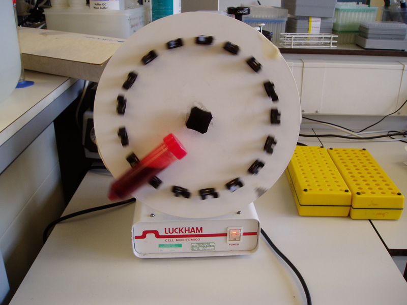 Inside the lab for DNA sequencing 2003 used for Stanza art experiment. My Bloods. 