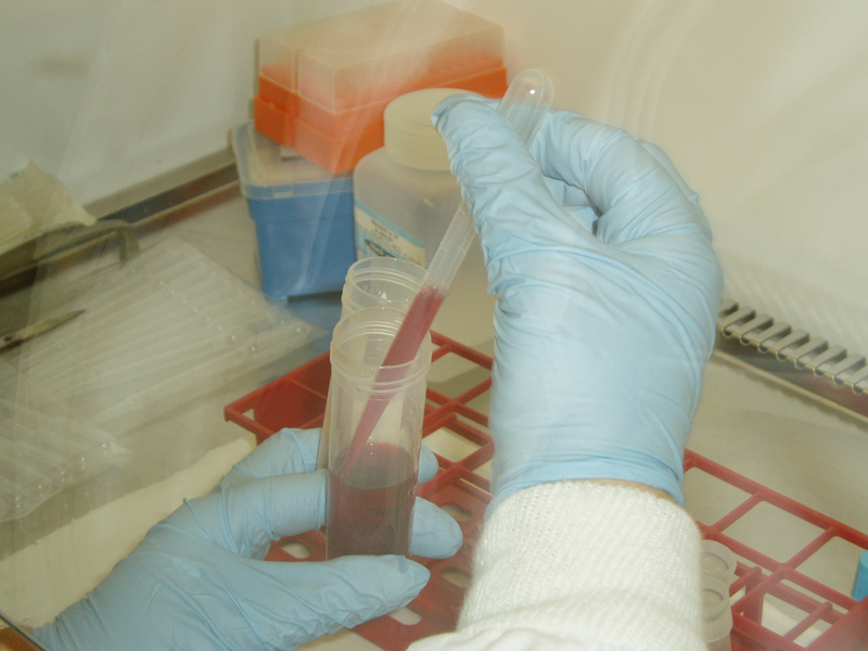 Inside the lab for DNA sequencing 2003 used for Stanza art experiment.